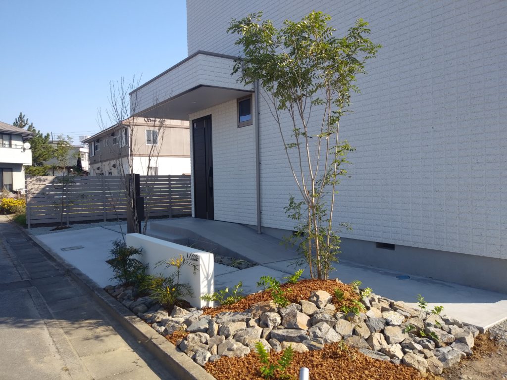 夜には照明が灯り、外壁にシマトネリコの影が映し出されます。