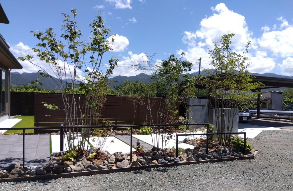 計算された雑木の配置がつくる、木漏れ日の庭