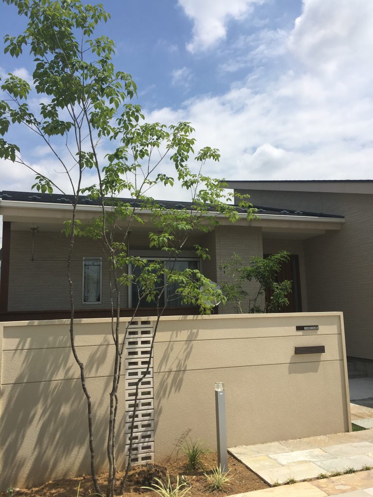 門柱前にはシンボルツリーのアオダモ